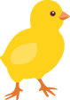 ひよこ