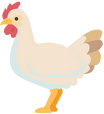 ニワトリ